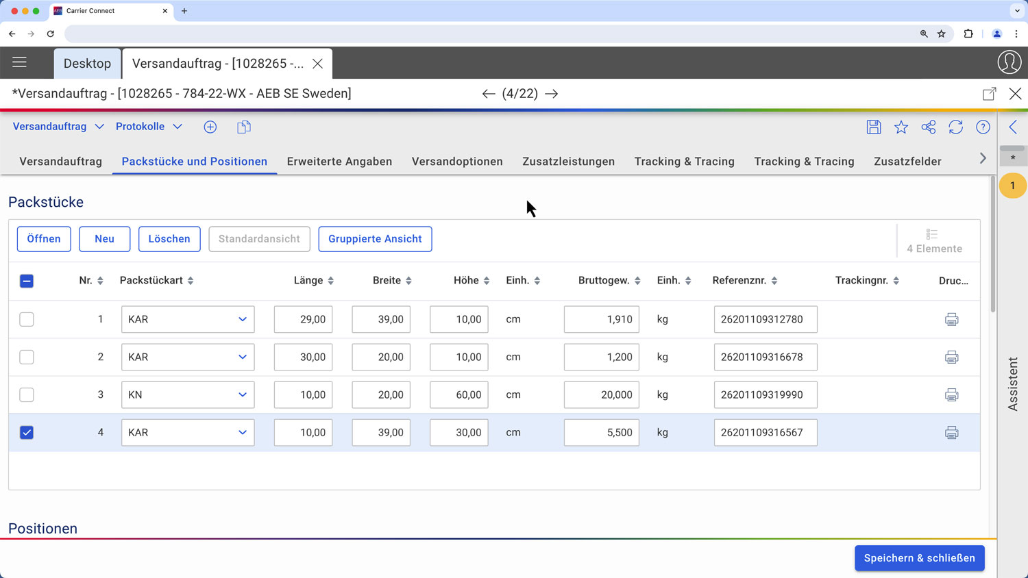 screenshot of AEB Carrier Connect API